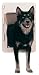 Pet Supplies : Petsafe S2-LW-11 Easy Fit Pet Door-Large White