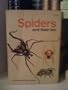 Spiders and Their Kin (A Golden Guide)