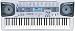Full-Size 24-Note Polyphonic 61-Key Keyboard