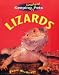 Keeping Unusual Pets: Lizards