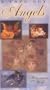 Angels: Messengers of the Gods [VHS]
