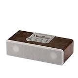 ELECOM iPodp؂̃Xs[J ASP-WP8BRD