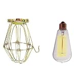 Buy 30 Watt Vintage Squirrel-cage Filament Light Bulb and Trouble Cage