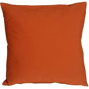 Buy Pillow Decor - Caravan Cotton Burnt Orange 16x16 Throw Pillow by PillowDecor.com now!