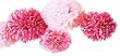 Vntg Girl Pom Poms-Pink
