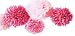 Martha Stewart Crafts Pom Poms, Pink, 2 Sizes