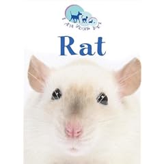 Rat (I Am Your Pet)