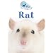 Rat (I Am Your Pet)