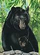 Black Bear, 12 X 18 Flag Banner