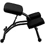 Ergonomic Kneeling Posture Office Chair [WL-1420-GG]