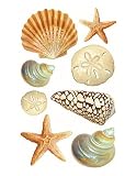 Wallies Seashore Seashells Shells Peel & Stick Decals