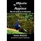 Living Better, the law of attraction