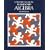 A Teacher's Guide to Elementary Algebra