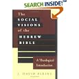 The Social Visions of the Hebrew Bible: A Theological Introduction by  J. David Pleins