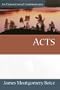 Acts (Expositional Commentary)