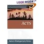 Acts (Expositional Commentary)
