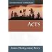 Acts (Expositional Commentary)