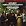 Schubert: Piano Quintet in A, "Trout" Op. 114 D. 667