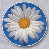 AutoCoaster ~ White Daisy ~ Tile Drink Coaster for car cupholder ~ code 134