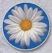 AutoCoaster ~ White Daisy ~ Tile Drink Coaster for car cupholder ~ code 134