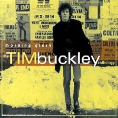 Morning Glory - The Tim Buckley Anthology