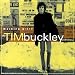 Morning Glory - The Tim Buckley Anthology