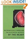 Mathematically Modeling the Electrical Activity of the Heart: From Cell to Body Surface and Back