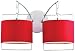 Passion 2-Light 16 1/2" Wide Wall Sconce