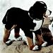 Plüti 1547-080-341 - Berner Sennenhund, stehend - 80 cm