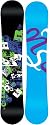Never Summer 2010 Circuit-R Snowboards