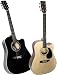 Eleca Acoustic Electric Cutaway Guitar DAG-5CEQ Black