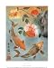 Two Koi Animals Art Poster Print by Suzanna Mah Fong, 16x20