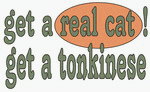 get a real cat! Get a tonkinese 11 oz. White Mug