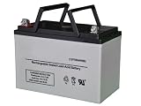 Toyo Battery 6GFM120 - 12.00 Volt 110.00 AmpH SLA Battery
