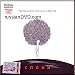 Reversible chronicle of events / Reversivnaya khronika sobyti