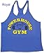 PH300 Powerhouse Gym Mens Tank Top