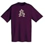 Arizona State Sun Devils Any Day, Any Game Short Sleeve T-Shirt (XX-Large)