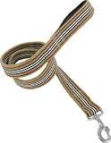 Kakadu Pet Angus Padded Big Dog Lead, 1 1/2″ x 48″, Stripes