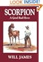 Scorpion: A Good Bad Horse (Tumbleweed Series)