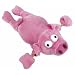 Flying Pig