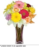 Flowers - Bold and Beautiful
