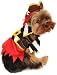 Anit Accessories Small Rustic Pirate Dog Costume, 12-Inch