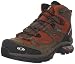 Salomon Men's Comet 3D GTX Hiking Boot