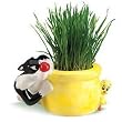 Chia Cat Grass Planter Featuring Sylvester & Tweety, 1 Kit