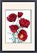 Framed Prints of Eschscholzia Californica (Cherry Ripe Poppy) from Mary Evans