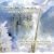 Winter in Scotland: A Highland Christmas
