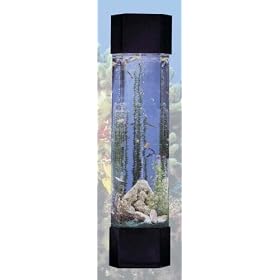 Pentagon Aqua Tower