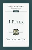 1 Peter : an introduction and commentary