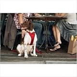Kurgo Tru-Fit Smart Harness - Red - X-Large