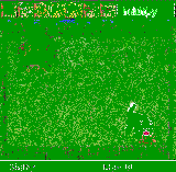 Little Palm Pet downloadable Software